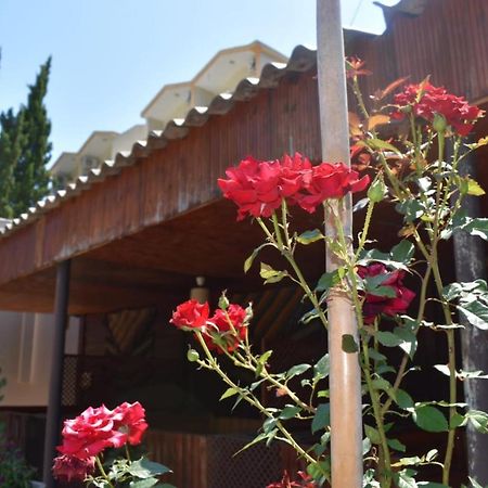 Terko Hotel Pansiyon Beldibi  Esterno foto